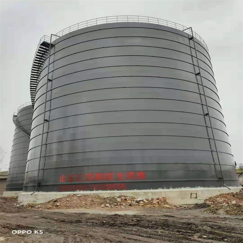 安陆3万吨大型钢板库