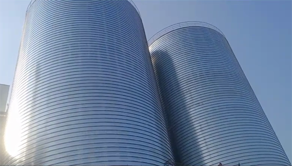 安陆2座混凝土高架卷板仓